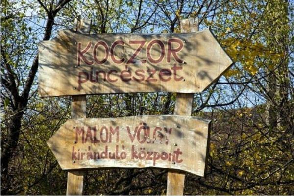 Koczor Winery & Guesthouse Balatonfured Bagian luar foto