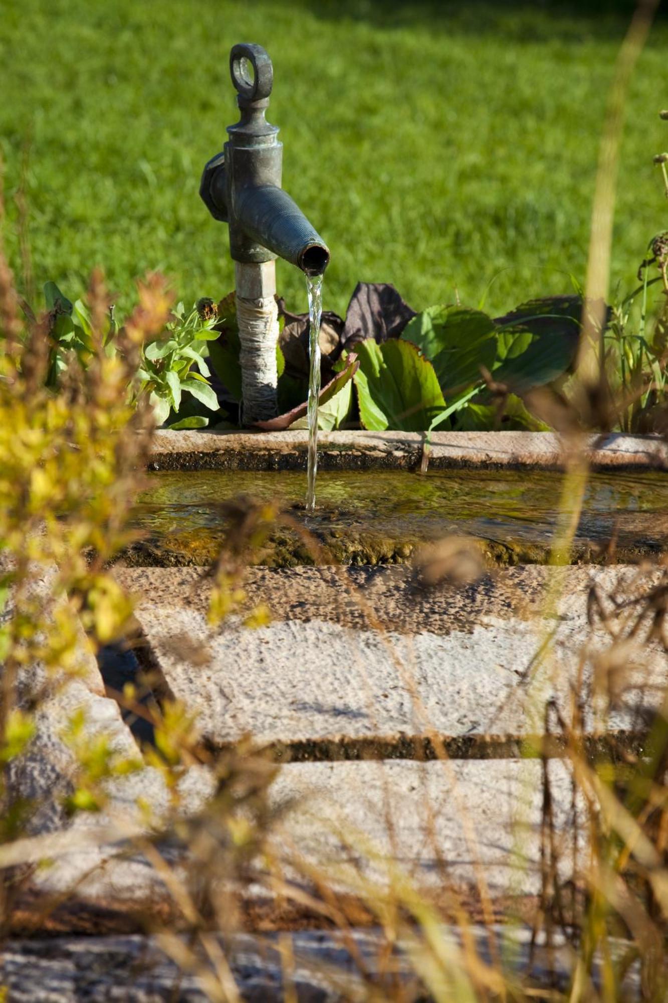 Koczor Winery & Guesthouse Balatonfured Bagian luar foto